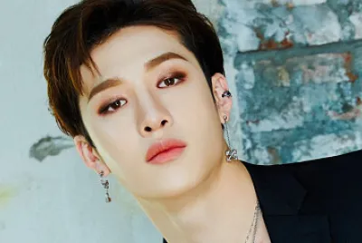 Bang Chan jigsaw puzzle