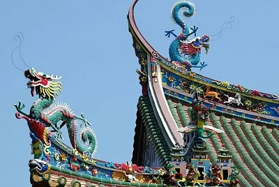 Dragon Roof