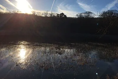 Etang Hauts de Seine
