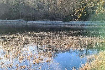 Etang Hauts de Seine jigsaw puzzle