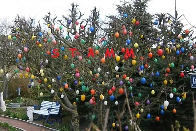 Osterbaum auf Norderney