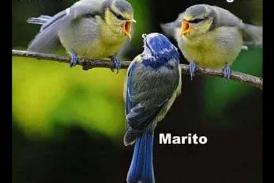 3/02/22 IL TARTASSATO