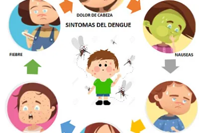 dengue
