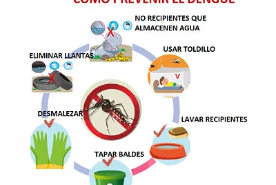 dengue2