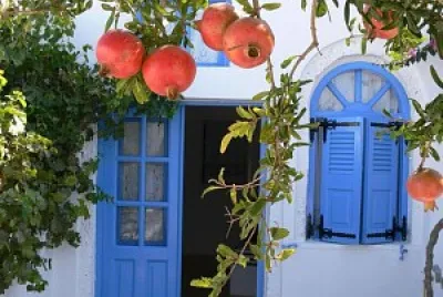 Granadas