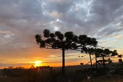 imagem jigsaw puzzle