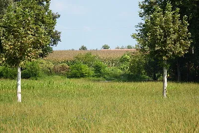 custodi della campagna