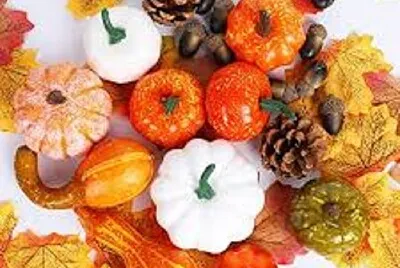 zucca jigsaw puzzle