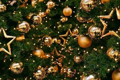 ESTRELLAS DE NAVIDAD