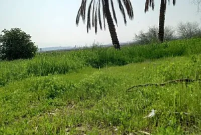 gesher