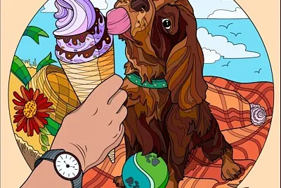 Bonitos