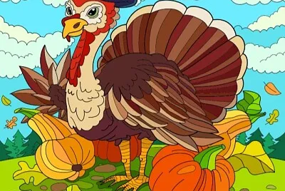 Pavo jigsaw puzzle