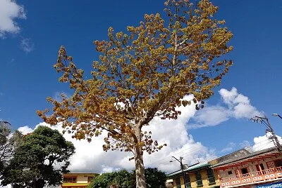 PUEBLO