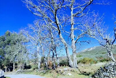 NATURALEZA jigsaw puzzle