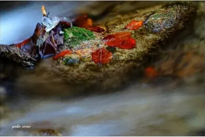 autunno in lessinia ,Verona jigsaw puzzle