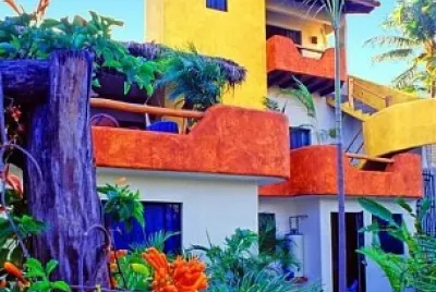 Color House