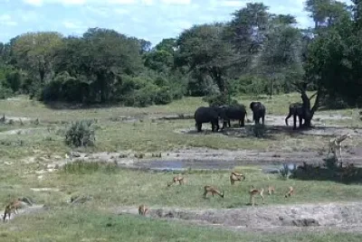 Africa