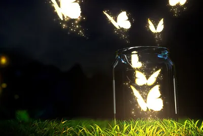 Bright Butterflies