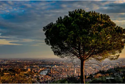 verona jigsaw puzzle