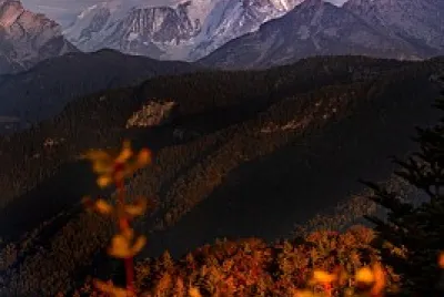 Savoie