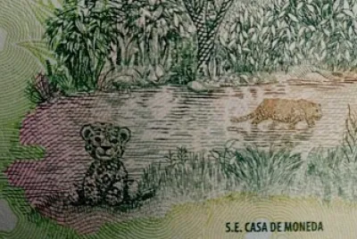 YAGUARETÉ-BILLETE