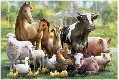 Fazenda jigsaw puzzle