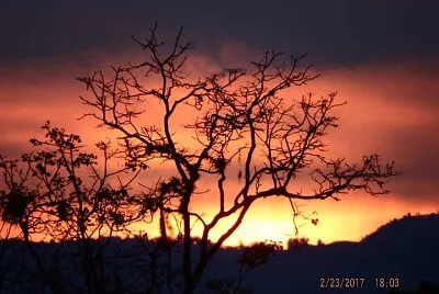 NATURALEZA