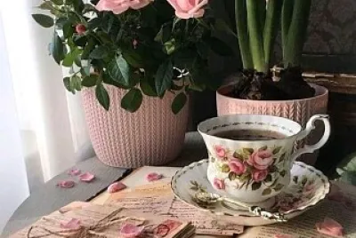 taza