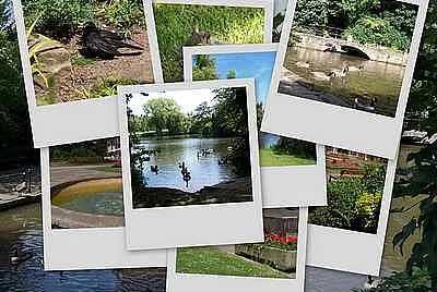 Markeaton Collage