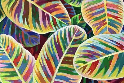 colorful