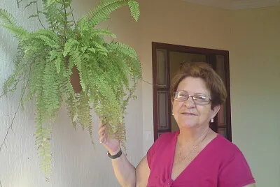 Amor ás Plantas