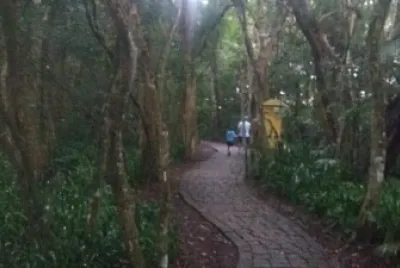 Parque-Curitiba-PR-Brasil