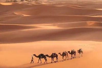 DESERTO?