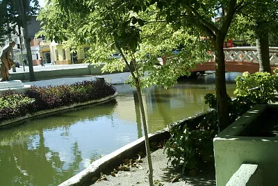 Ao ar livre