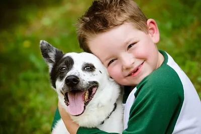 פאזל של amor e cuidados aos animais