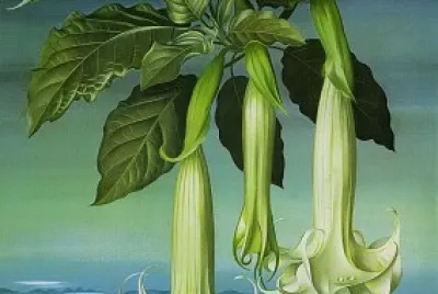 art composition de fleure