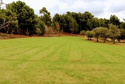NATURALEZA