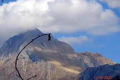 PANIA e L 'UOMO MORTO