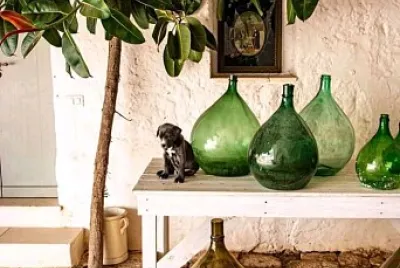 botellas
