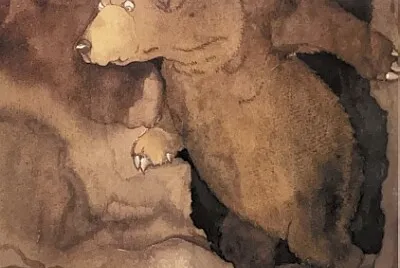 Orso nella caverna