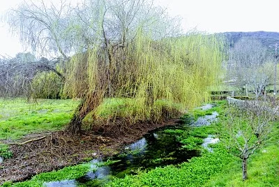 NATURALEZA