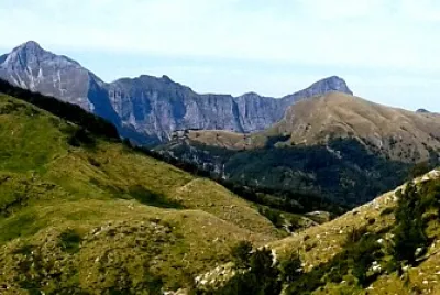 APUANE