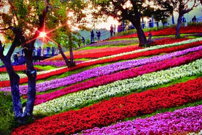 風景 jigsaw puzzle