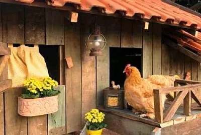 animales