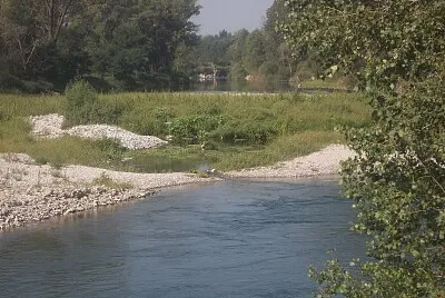 פאזל של eccolo l 'airone