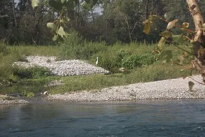 פאזל של eccomi