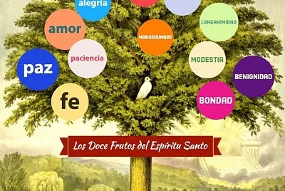 Conf Miercoles