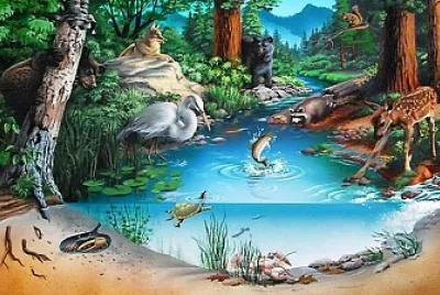 Ecosistemas