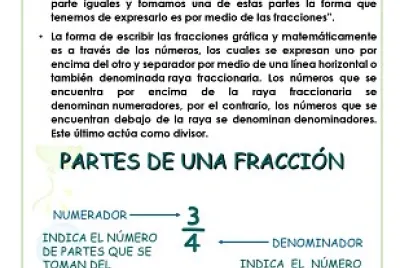Descripción de fracción e imagen