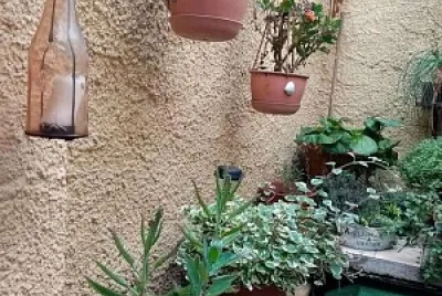 jardín